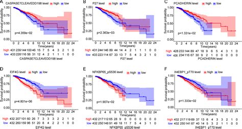 The Relationship Between The Expression Of Proteins And Survival