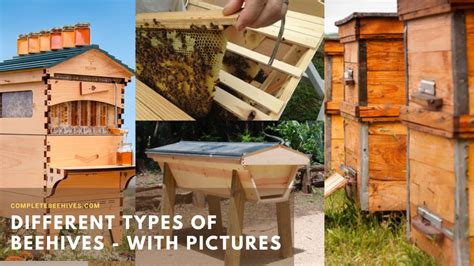 Different Types Of Beehives With Pictures Complete Beehives