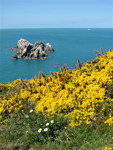 Everything you must know about the Alderney ferry schedule 3