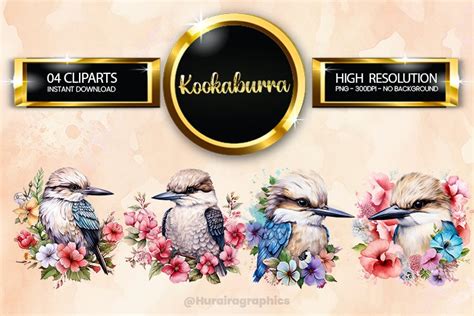 Kookaburra Clipart 04 variations (3561889)