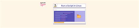 How To Run A Script In Linux Scaler Topics