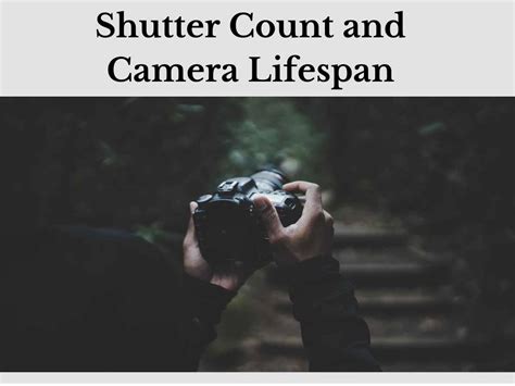 How To Check Camera Shutter Count In Photoshop