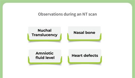 A Comprehensive Guide About Nt Scan During Pregnancy In 2023