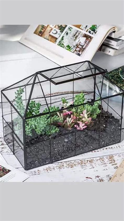 Product Of The Week Mini Greenhouse Terrariums Artofit