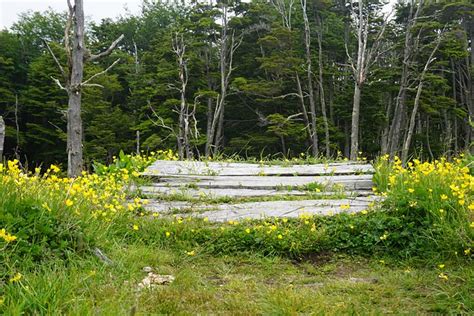 Tierra Del Fuego Argentina Ushuaia - Free photo on Pixabay - Pixabay