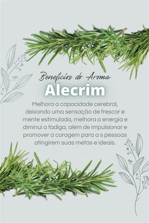 Veja Como A Aromaterapia Pode Te Ajudar Essential Oil Blends