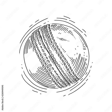 Cricket ball Drawing Stock Vector | Adobe Stock