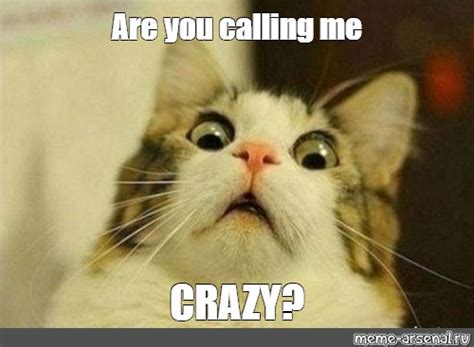meme   calling  crazy  templates meme arsenalcom