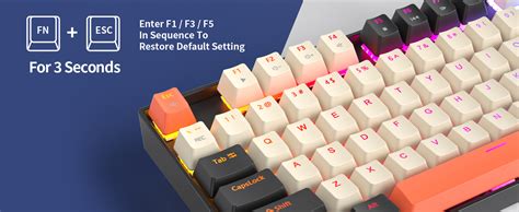 Fogruaden Rgb Wired Percent Mechanical Keyboard With Red Switch Tkl