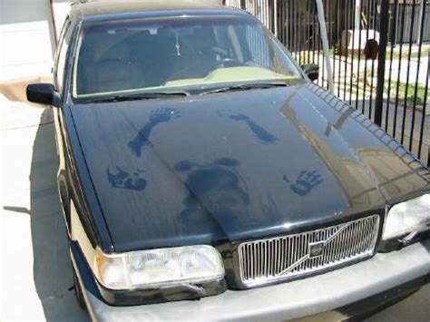 Couple “doing The Nasty” On The Hood Of A Car Leaves Body Impression