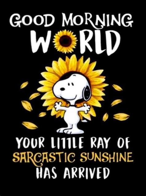 Pin By Wendy Bricker On Woodstock Snoopy Snoopy Funny Good Morning