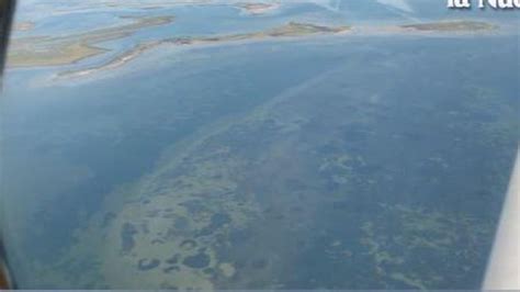 Le Barene Della Laguna Di Venezia Viste Da Un Aereo Da Turismo Uno