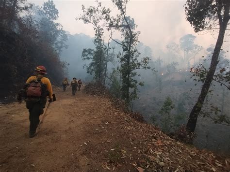 Desactivan Alerta AtmosfÉrica En Zapopan Por Incendio Forestal