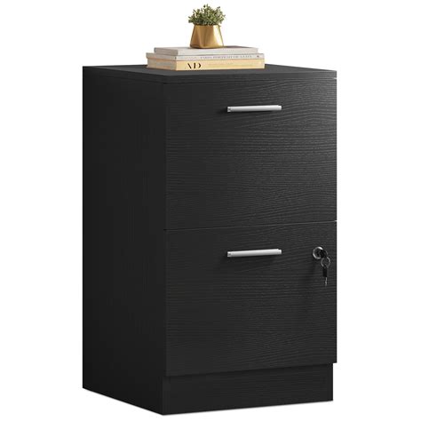 Dextrus 2 Drawer Wood File Cabinet With Lock 15 82 Vertical Filing