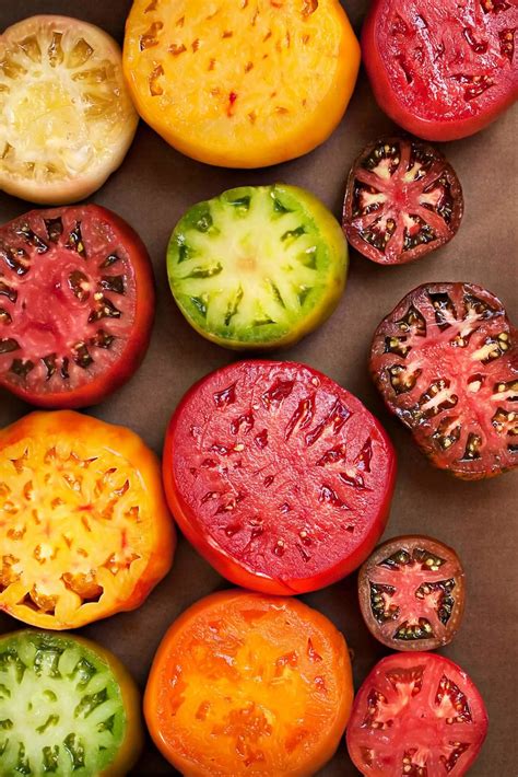 14 Best Tomato Companion Plants + Plants To Avoid | Boreal Bloom Homestead