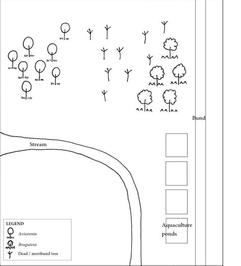 Sketch map of the condition of the mangrove forest in Balik Pulau ...