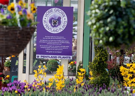 Pentland Plants Garden Centre, Loanhead – Garden Centres | VisitScotland