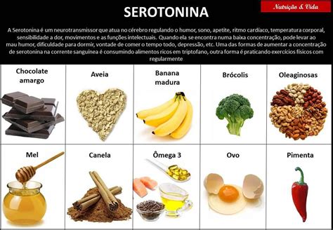 Serotonina o hormônio do bom humor projetocuidar Nutrição e