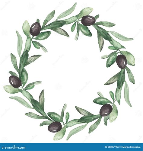 Aquarelle Couronne Avec Olives Branches D Olivier Feuilles Verdure Pour