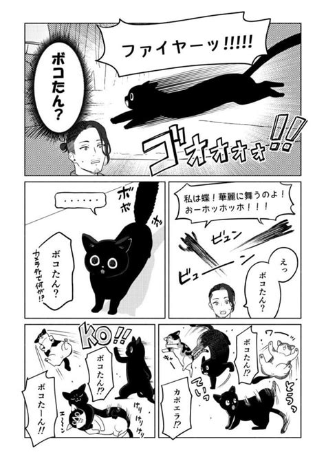 借金1000万作曲家の人生を変えてくれた猫の話 第27話 番外編2 「猫被る猫」｜リュックと愉快な仲間たちブログ