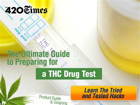 Does Home Depot Drug Test Their Polices Explained