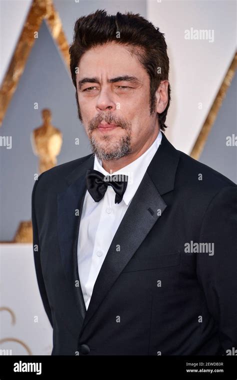 Benicio del Toro arriving at the 88th Academy Awards Ceremony held at ...