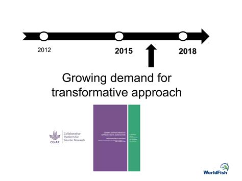 A Gender Transformative Approach Why What And How Ppt