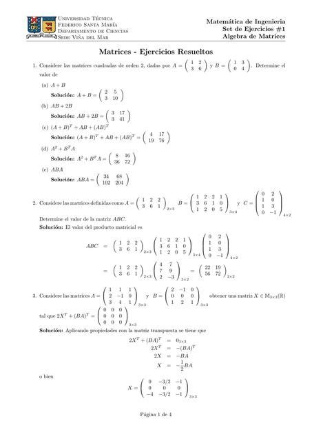 Matrices Ejercicios Resueltos Sofia Torres Udocz