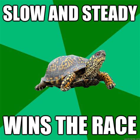 Slow And Steady Wins The Race Torrenting Turtle Quickmeme