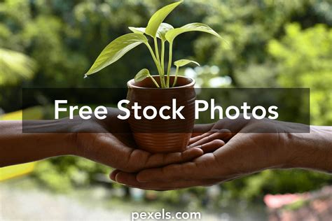 Oxygen Plant Photos, Download The BEST Free Oxygen Plant Stock Photos ...