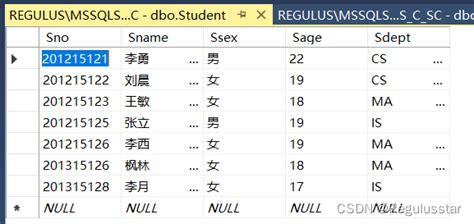 【sql Server】查询和汇总数据库的数据 Csdn博客