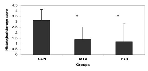 Semi Quantitative Scoring Of Histological Changes Of The Involved