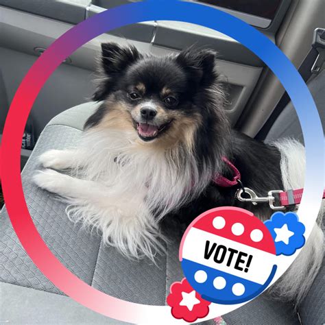 Historic Haven - One of the most heart-wrenching moments... | Facebook