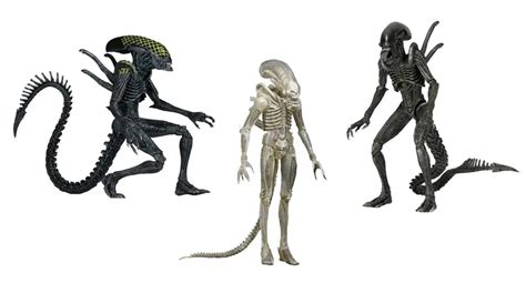 NECA Aliens Series 7 AVP Alien VS. Predator Warrior Grid Xenomorph ...