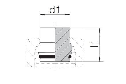 Blanking Plug For Cone With 24 DKO Swivel And NBR O Ring L S Series