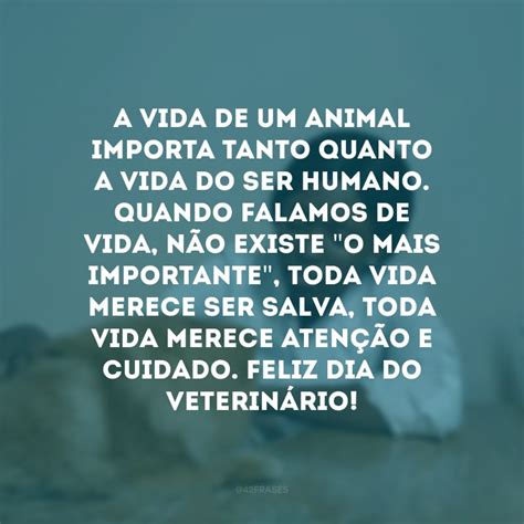 40 frases de Dia do Veterinário para homenagear essa nobre profissão