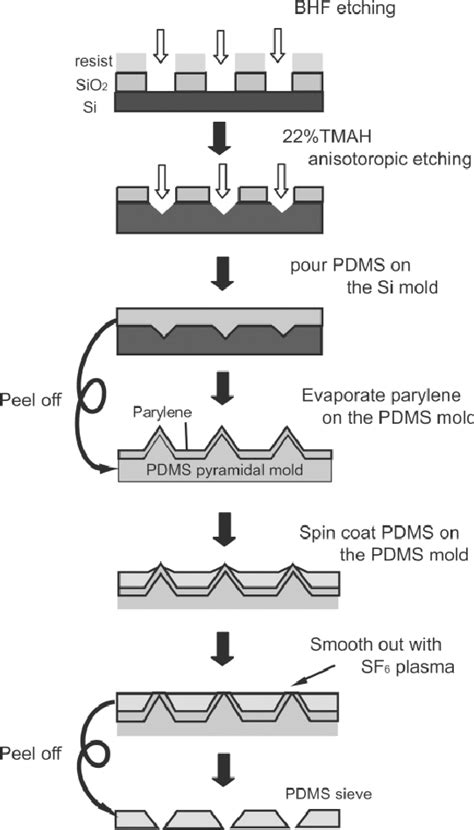 Fabrication Process Of The PDMS Sieve The Sieve Is Formed By