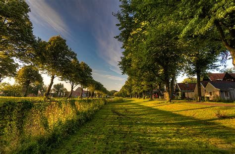 Hd Wallpaper Photography Of Green Grass Field With Green Leaves Trees