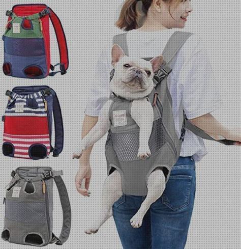 Las Mejores Mochilas Para Perros Mes