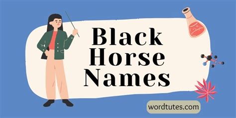 Black Horse Names - In The Shadow Of Beauty - Word Tutes