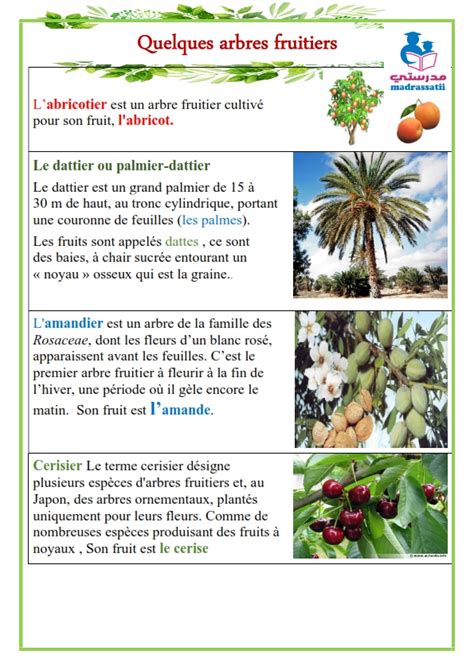 Quelques arbres fruitiers la nature 4 pages موقع مدرستي