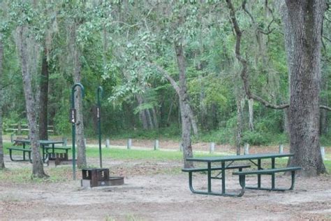 Ocala National Forest Salt Springs Campground Salt Springs Fl Gps Campsites Rates Photos