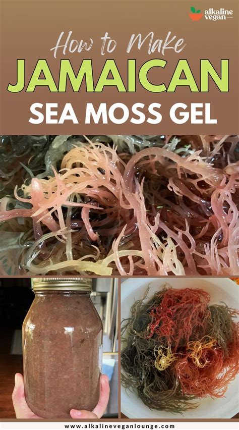 How to Make Jamaican Sea Moss Gel in 2022 | Healthy eating recipes, Sea moss, Health food