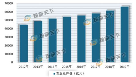 2020年中国农业行业投资分析报告 行业竞争格局与发展前景研究观研报告网