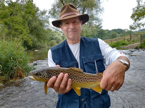 Central Pa Summer Fly Fishing At Spruce Creek Trout Haven