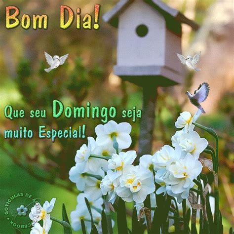 582 700700 Mensagem De Domingo Feliz Bom Dia Flores