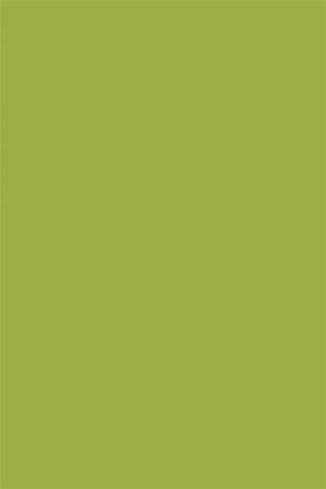 1022 PARROT GREEN | Laminates - Asis India