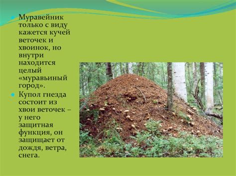 Окружающий мир 2 класс «Муравьи» презентация, доклад
