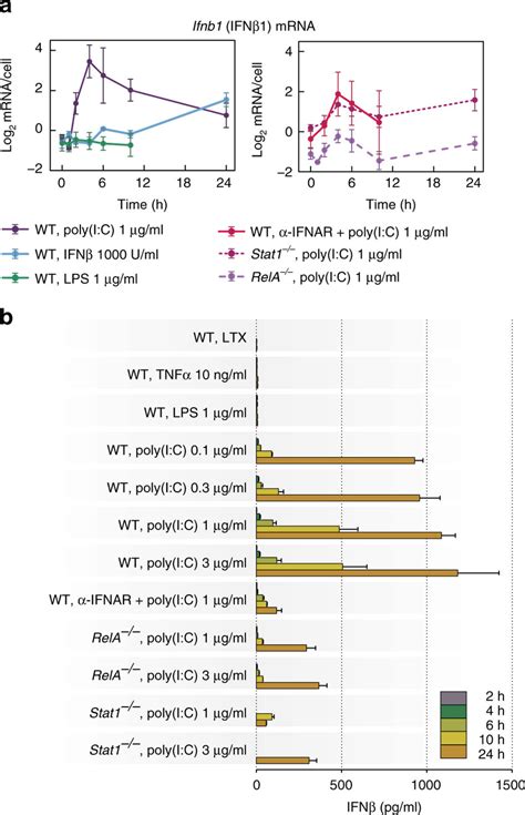 Transcriptional Activation And Secretion Of Ifnβ A Time Profiles Of