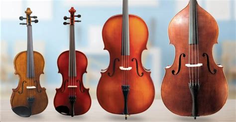 Струнные смычковые и щипковые инструменты - Музыкальные классические ...